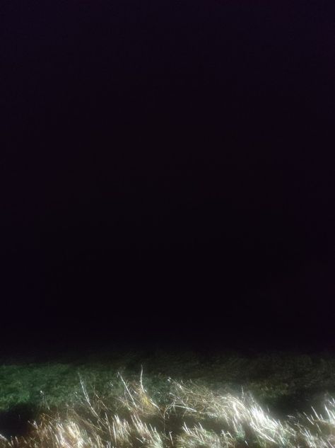 Unseen Photography, Grass At Night, Field At Night, Eggs And Soldiers, Grassy Field, Grass Field, Night Landscape, Beach Combing, Star Sky