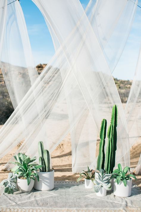 At this desert wedding, the potted cacti almost feel like they're part of the natural landscape. Add in sheer draping and a bohemian rug accent for the perfect ceremony set-up. Ceremony Backdrop Outdoor, Ceremony Arrangement, Tattoo Plant, Cactus Wedding, Wedding Altars, Wedding Ceremony Backdrop, Eco Friendly Wedding, Succulent Wedding, Decoration Originale