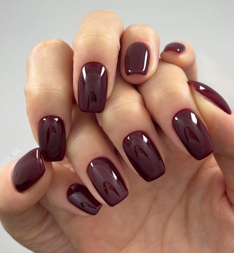 Nails For Autumn 2023, Trending Nail Colors 2023 Fall, Wine Nail Color Design, Nail Colours For Fall 2024, Gel Nails Autumn 2024, Fall Dark Nail Colors, Short Maroon Acrylic Nails, Dark Fall Nails 2023, Mulberry Nail Color