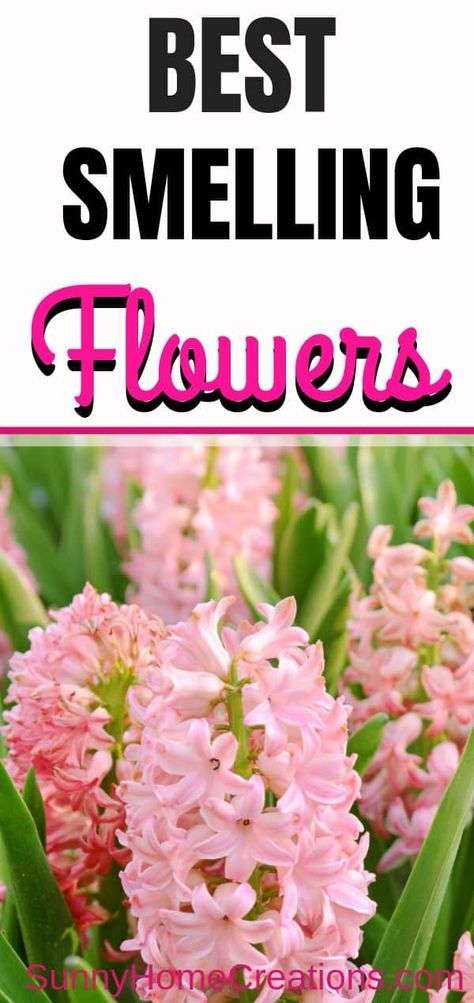 Best smelling flowers for your yard or garden. Plant these super fragrant flowers and flowering shrubs in your landscaping for a wonderful scent when you step outside. #garden #gardening #fragrantflowers #flowers Best Smelling Flowers, Flowers For Garden, Garden Farming, Garden Front Of House, Backyard Flowers Garden, Smelling Flowers, Backyard Flowers, Garden Wallpaper, Garden Shrubs