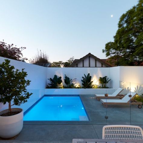 A small pool with big impact! A compact plunge pool that provides all the perks of a pool without taking up too much space in this family backyard. The white painted brick walls offset with tropical plantings give this pool an effortlessly stylish vibe visible from the living room inside this Eastern suburbs home. Small Backyard Ideas Pool, Patio With Plunge Pool, Small Built In Pool, Small Backyard Pool And Bbq Area, Pool Off Back Of House, Garden With Small Pool, Raised Edge Pool, White Brick Wall Backyard, Minimal Pool Landscaping