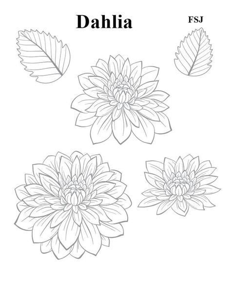 Dahlia stamp set FSJ Dahlia Flower Tattoos, Dahlia Tattoo, Flower Tattoo Stencils, Floral Stencil, Flower Line Drawings, 3d Art Drawing, Dahlia Flower, Flower Tattoo Designs, Tattoo Stencils