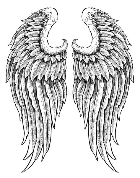 White Angel Wings Tattoo, Black And White Angel Wings, Angel Wing Tattoos, Alas Tattoo, Wing Tattoos, Angel Wings Drawing, Wing Tattoo Designs, White Angel Wings, Wings Drawing