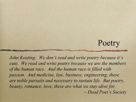 These are what we stay alive for.... Dead Poets Society Quotes, Dead Poets Society Aesthetic, Write Poetry, Sean Leonard, Society Quotes, Read And Write, Dead Poets Society, Writing Poetry, Literary Quotes