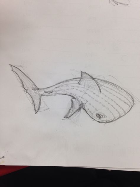 Whale shark sketch Wale Sharks Drawing, Shark Drawings Easy, Whale Shark Drawing Easy, How To Draw A Whale Shark, Shark Whale Drawing, Whale Shark Drawing Sketches, Whale Shark Doodle, Sharks Sketch, How To Draw A Shark