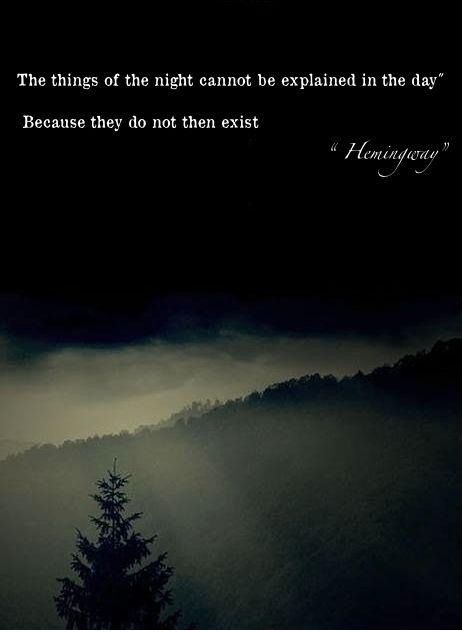 "the things of the night cannot be explained in the day. because they do not then exist." - hemingway Ernst Hemingway, Hemingway Quotes, Slaap Lekker, Literary Quotes, Poem Quotes, Wonderful Words, Quotable Quotes, A Quote, Poetry Quotes