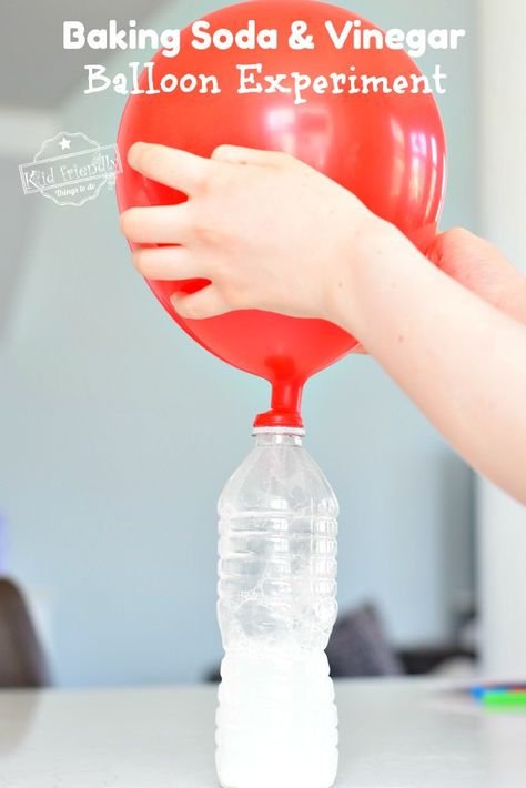 A great lesson in Carbon Dioxide Gas. Watch Balloons expand during this fun Baking Soda and Vinegar Balloon Experiment. So much fun for kids to watch! www.kidfriendlythingstodo.com #balloon #experiment #science #bakingsoda #vinegar #stem #fun #kids Baking Soda And Vinegar Balloon, Blow Up Balloon With Baking Soda, Balloon Preschool Activities, Baking Soda Balloon Experiment, Balloon Experiments For Kids, Baking Soda And Vinegar Experiment Kids, Ballon Experiment, Balloon Experiments, Messy Science