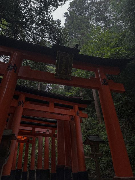 Shrine in Kyoto Japan Japan Aesthetic Culture, Japan Shrine Aesthetic, Edo Japan Aesthetic, Medieval Japan Aesthetic, Japanese Shrine Aesthetic, Ancient Japan Aesthetic, Vintage Japan Aesthetic, Japanese Culture Aesthetic, Shrine Aesthetic