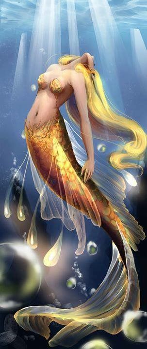 Mermaid with gold tail art Fantasy Mermaids, Mermaid Fairy, Mermaid Swimming, Charcoal Drawings, Fantasy Magic, Mermaids And Mermen, Mermaid Life, Beautiful Mermaids, Mystical Creatures