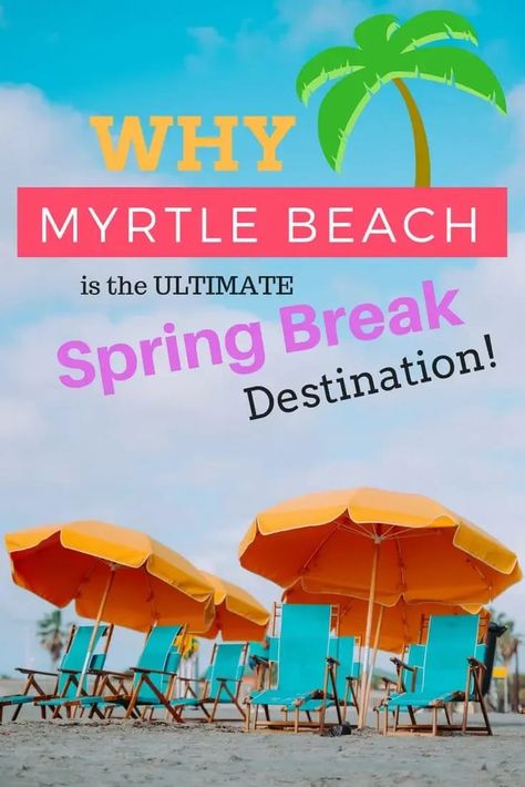 What to do in Myrtle Beach. The best places to eat and restaurants, things to do and outdoor adventures. A great spring break or summer trip to Myrtle Beach, South Carolina. #sc #myrtlebeach Myrtle Beach Spring Break, Beach Spring Break, Wild Travel, Break Ideas, Beach Hacks For Adults, Spring Break Destinations, Usa Beaches, Wet And Wild, Usa Soccer