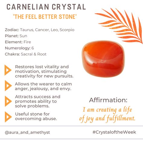 Carnelian Crystal Affirmation, Carnelian Affirmation, Monday Magick, Carnelian Crystal Meaning, Carnelian Properties, Carnelian Meaning, Chinese Bracelet, Crystal Healing Chart, Color Healing