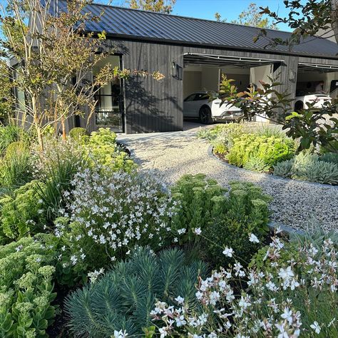 PLUME STUDIO (@plume__studio) • Instagram photos and videos Bush Garden, Front Garden Landscape, Front Garden Design, Australian Garden, Mediterranean Garden, Backyard Inspo, Garden Path, March 3, House Landscape