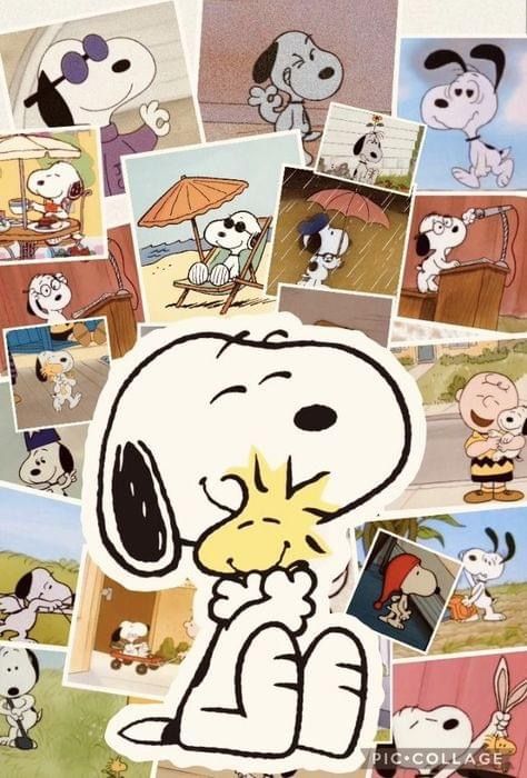 Crazy Meme, Peanuts Wallpaper, Snoopy Cartoon, Snoopy Images, Snoopy Wallpaper, Snoopy Pictures, Snoopy Love, 수채화 그림, Pinturas Disney