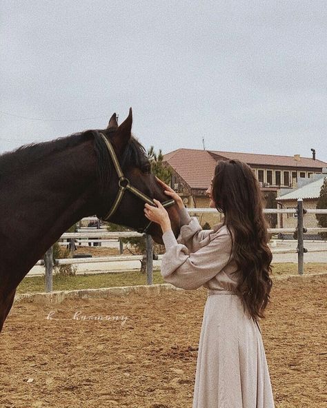 Aesthetic Horse, Photography Horse, Horse Aesthetic, Aso Ebi, Horse Photography, Horse Girl, A Horse, Photography, On Instagram