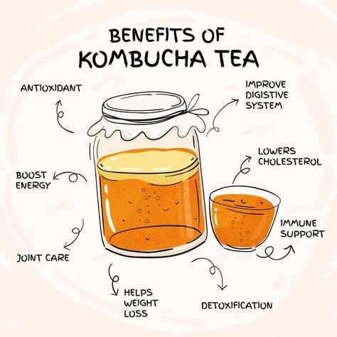 Kombucha Health Benefits, Benefits Of Kombucha, Best Kombucha, Kombucha Benefits, Kombucha Scoby, Kombucha Recipe, Homemade Kombucha, Fermented Tea, Kombucha Tea