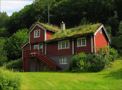 Typical Norwegian House Norwegian House Exterior, Norway Wallpaper, Norwegian Architecture, Norway House, Norwegian House, Grass Roof, Red Houses, Pretty Cottage, Living Roofs