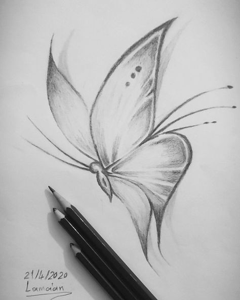 Butterfly Pencil Drawing Easy, Butterfly Art Drawing Sketches, Easy Sketches For Beginners Pencil Simple Drawing, Easy Sketch Ideas For Beginners, Easy Sketches For Beginners, Butterfly Art Drawing, Beginner Sketches, Butterfly Sketch, Pencil Drawings Of Flowers