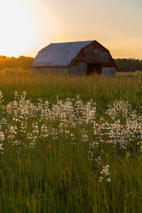 Prairie Aesthetic, Art Kits For Kids, Country Summer, Marion County, Pretty Landscapes, Old Barns, Old Barn, Art Kits, Nature Aesthetic