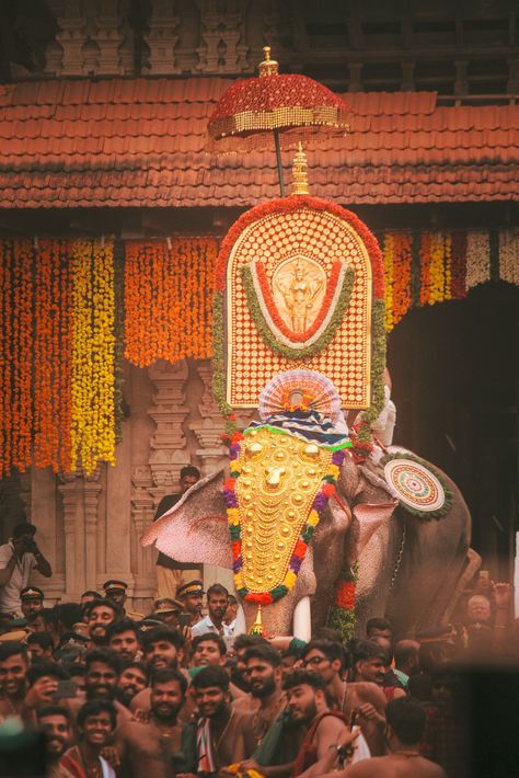 Thrissur pooram 2k19 Kerala Elephant Wallpaper, Thrissur Pooram Photography, Thrissur Photography, Pooram Kerala, Thrissur Pooram, Hindu Statues Goddesses, Elephant Photography, Simplistic Wallpaper, Elephant Wallpaper