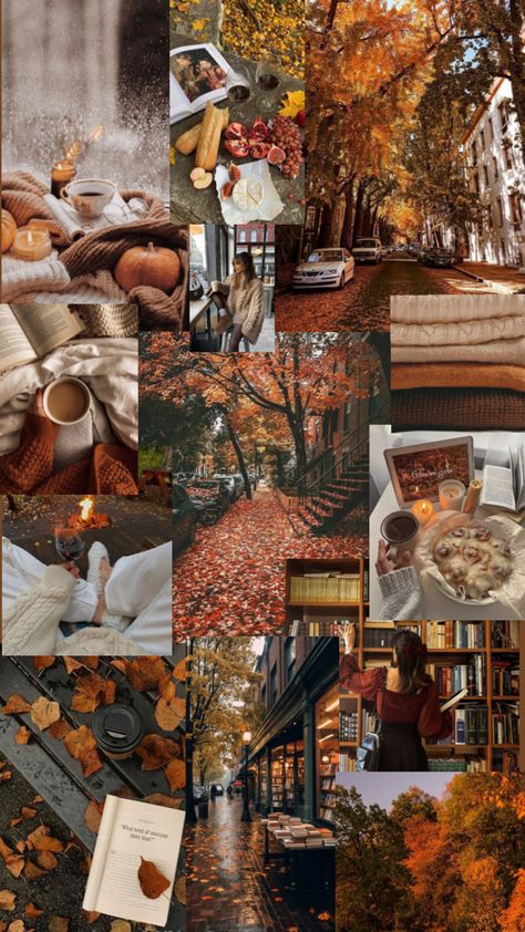 Fall mood board Cosy Aesthetic, Herbst Bucket List, Halloween Wallpaper Iphone Backgrounds, Fall Boards, Nyc Fall, Fall Mood Board, Fall Mood, Fun Fall Activities, Cute Fall Wallpaper