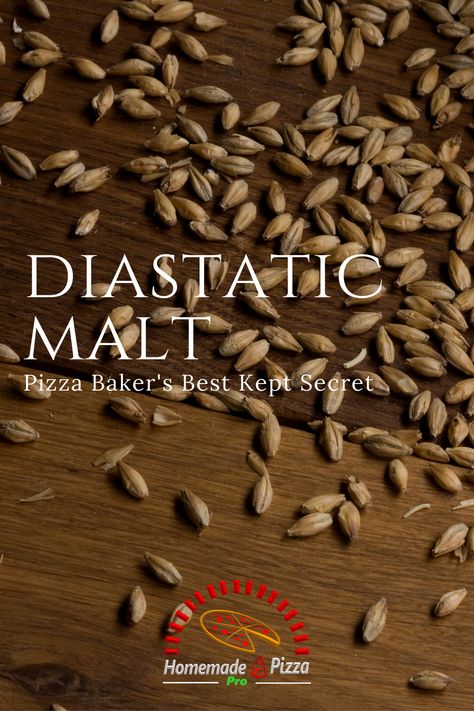 Diastatic Malt Powder Recipes, Malt Recipe, Malt Powder, Pizza Baker, Ooni Pizza, Carb Cravings, Malted Milk Balls, Neopolitan Pizza, Best Homemade Pizza