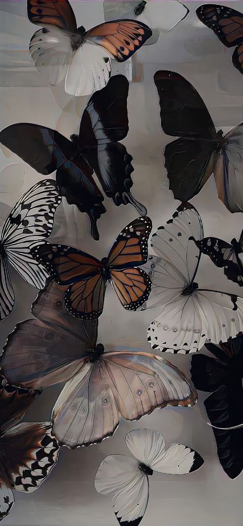 Wallpaper Backgrounds Butterflies, Black Wallpapers For Phone, Iphone Wallpaper Classy, Iphone Wallpaper Stills, Simple Phone Wallpapers, Flower Iphone Wallpaper, Iphone Wallpaper Photos, Iphone Wallpaper Girly, Cool Wallpapers Art