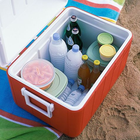 13 genius picnic hacks you need to know this summer Picnic Hack, Martha Stewart Entertaining, Water Room, Camping Photos, Beach Meals, Ice Packs, Picnic Packing, Perfect Picnic, Beach Hacks