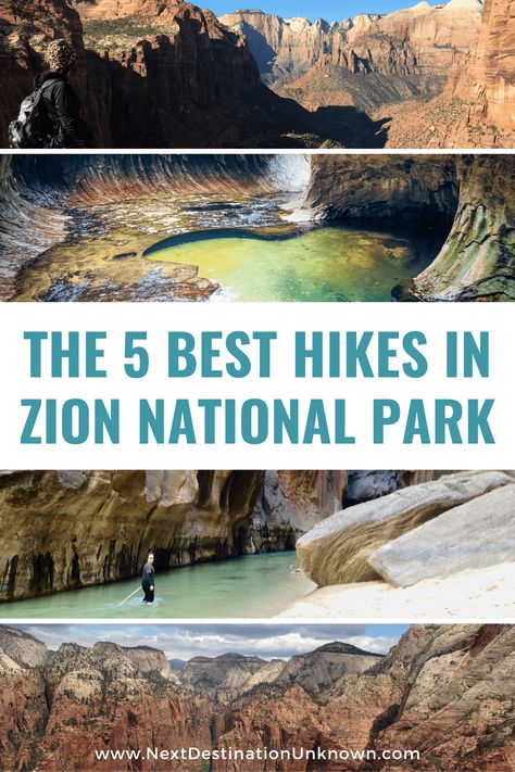 Wanna visit Zion National Park in Utah? The best way to explore Zion is by hiking! The Zion National Park hikes will blow your mind! If you’re a hiking enthusiast, these are the 5 best hikes in Zion National Park, including Angels Landing, the Narrows, and the Subway hikes. Check them all out here and start planning your trip to Zion National Park. #zionnationalpark #hikesinzionnationalpark #zionnationalparkhikes #angelslandingzion #narrowszionnationalpark #thesubwayzionnationalpark #zion #utah Hikes In Zion National Park, Zion Hikes, Zion National Park Hikes, National Park Hikes, Hiking The Narrows, American National Parks, Zion Canyon, Zion National Park Utah, Angels Landing