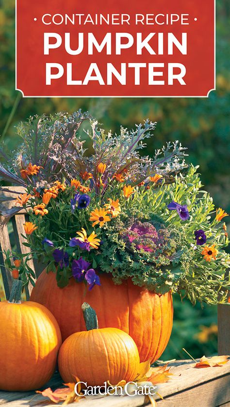 Easy Pumpkin Decorating, Milk Can Decor, Planting Pumpkins, Fall Container Gardens, Pumpkin Planter, Kitchen Ornaments, Fall Containers, Halloween Decor Ideas, Fall Planters