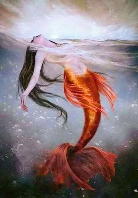 Mermaid with orange tail in the water art Art Geek, Mermaid Images, Mermaid Artwork, Fantasy Mermaids, Mermaid Photos, Mermaid Drawings, Unicorns And Mermaids, Mermaid Painting, Mermaid Pictures