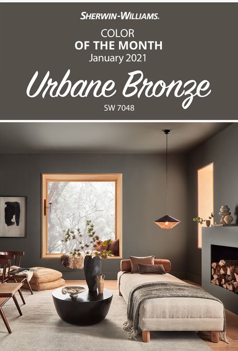 Urbane Bronze, Paint Color Inspiration, Sherwin Williams Paint Colors, Neutral Paint, Room Paint Colors, Interior Paint Colors, Paint Colors For Living Room, Living Room Colors, Paint Colors For Home