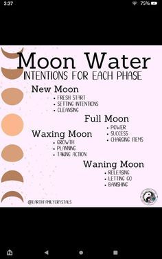 Wiccan Tips, Make Moon Water, Moon Water, Succession Planning, Sun Water, Water Recipes, Manifestation Journal, Moon Magic, Witchy Things