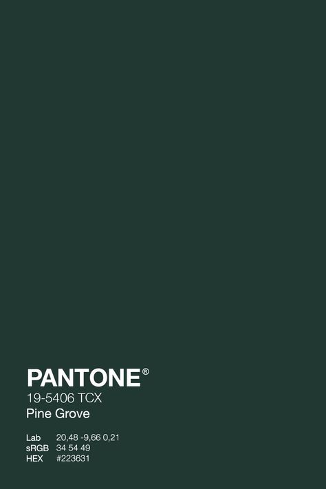 Embrace the winter season in style with this beautiful PANTONE Pine Grove Green 19-5406 color. Make a statement with this timeless hue – shop now and bring the winter vibes into your home! #Pantone #WinterDecor #green Phalo Green, Pine Green Aesthetic, Forest Green Pantone, Dark Green Pantone, Emerald Green Pantone, Phtalo Green, Pine Grove Green, Pantone Verde, Color Analysis Winter