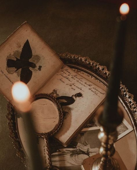 Magic Realms, Era Victoria, Dark Acadamia, Academia Aesthetics, Royal Aesthetic, Hogwarts Aesthetic, Dark Paradise, Star Crossed, Gothic Aesthetic