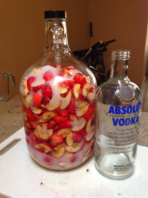 Tipsy Tuesday: Crabapple Liqueur – Emerald Erin Crabapple Liquor, Liquor Making, Blackberry Vodka, Crab Apple Recipes, Tipsy Tuesday, Homemade Liqueur, Fill The Jar, Crab Apples, Homemade Alcohol