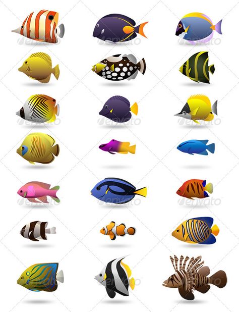 Bawah Air, Underwater Painting, Salt Water Fish, Vector Graphics Design, Marine Fish, Fish Drawings, Underwater Life, Types Of Fish, Saltwater Aquarium