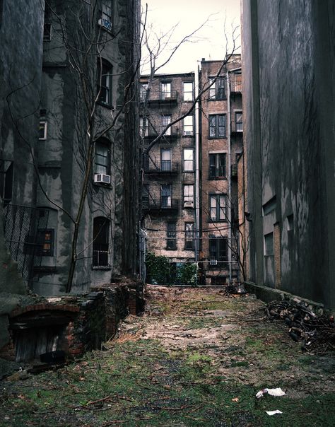 Dystopian Aesthetic, Apocalypse Aesthetic, Post Apocalypse, Abandoned Buildings, Story Inspiration, Zombie Apocalypse, City Aesthetic, On The Ground, Post Apocalyptic