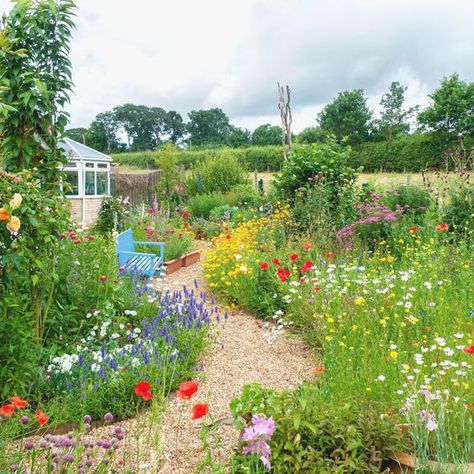 Wildflower garden ideas - clever pollinator planting for every garden | Ideal Home Australian Wildflower Garden, Small Pollinator Garden, Small Wildflower Garden, Wildflower Garden Ideas, Ideas For Small Gardens, Bungalow Conversion, Australian Wildflowers, Wild Garden, Landscape Garden