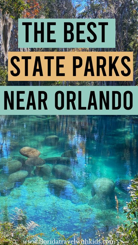 The best state parks near Orlando. If you're planning an Orlando vacation and want to take some time away from the city and them parks, check out these state parks close to Orlando. #floridatravelwithkids - Florida Travel With Kids Beaches Near Orlando Florida, Stuff To Do In Orlando Florida, Things To Do In Orlando Besides Parks, Things To Do Near Orlando Florida, Orlando Outdoor Activities, Orlando Florida Things To Do, Trip To Orlando Florida, Orlando With Kids, Things To Do Orlando