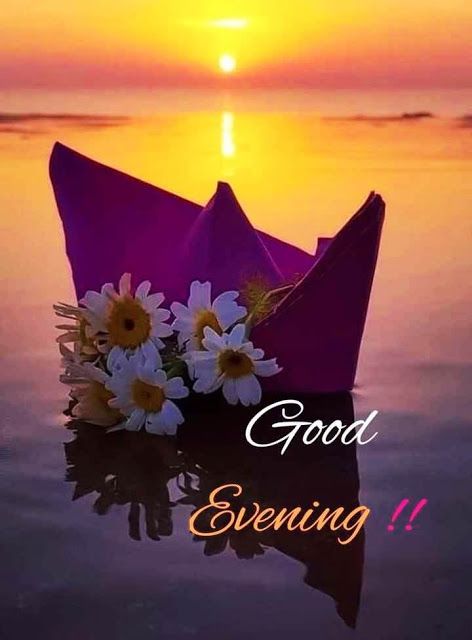 Good Evening Images For Whatsapp Free Download Good Evening Wallpaper, Christmas Gift Videos, Good Evening Photos, Good Evening Images, Good Evening Love, Evening Images, Greetings For The Day, Good Evening Messages, New Year Wishes Images