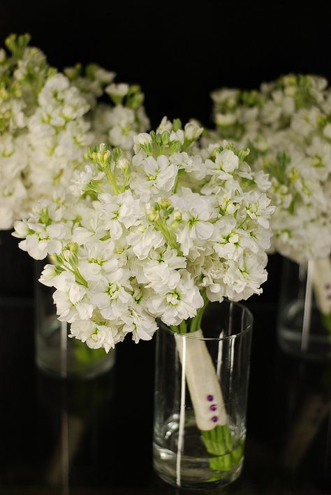 White Stock Bridesmaids Bouquets by Amrose Flowers (amroseflowers.com) Raleigh NC Minimalistic Wedding Bouquet, Stock Bridesmaid Bouquet, Small White Bridesmaid Bouquet, Stock Flower Bouquet, Stock Bouquet, Kiawah Wedding, Elopement Venues, Bouquets Ideas, Prom Bouquet