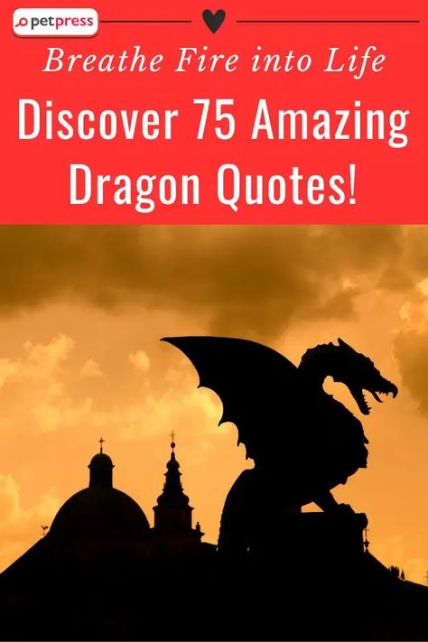 🐉 Unleash the power of dragon symbolism in your pursuit of success! Embark on an epic journey to discover the wisdom, courage, and transformative qualities embodied by dragons. Ignite your inner fire and conquer your goals with their strength and determination. Let the dragon inspire you to fearlessly face challenges, embrace change, and continuously grow. 🐉🔥 #Dragons #Success #InnerPower #IgniteYourPath #AchieveGreatness Dragon Sayings, Dragon Wisdom, Dragon Poems, Dragon Symbolism, Viking Symbols And Meanings, Dragon Facts, Rider Quotes, Dragon Quotes, Dragon Energy