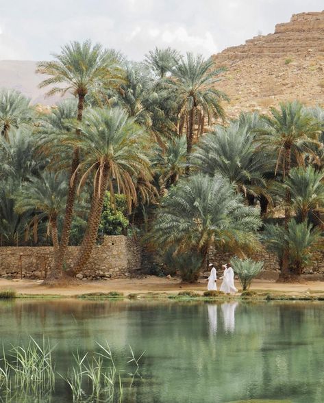 PRIOR on Instagram: “Walking through a serene date palm oasis in Oman—an antidote to the flashy artifice of neighboring Dubai. Here, traditional Bedouin values…” Arabic Garden, Interior Architecture Drawing, Desert Oasis, Arch Daily, Aesthetic Images, Types Of Houses, Culture Travel, Pretty Places, Oman