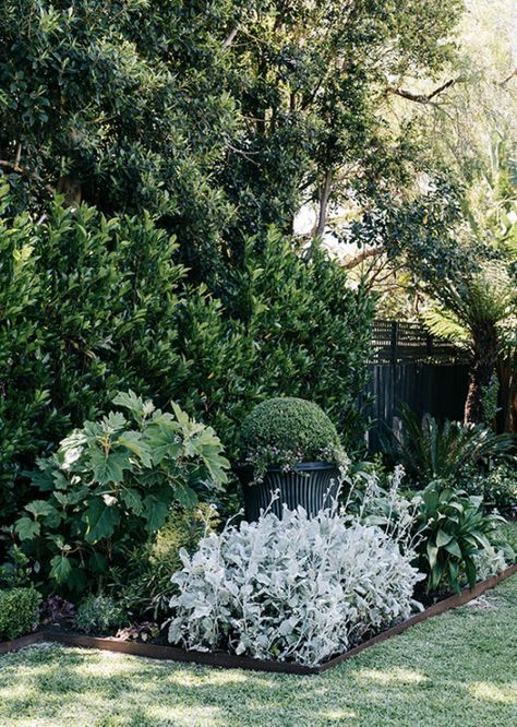 Federation Garden Australia, Australian Shade Garden, Australian Garden Design Front Yards, Queensland Garden Ideas, Native Gardens Australia, Layered Garden Ideas, Modern Australian Garden, Layered Garden, Australian Garden Design