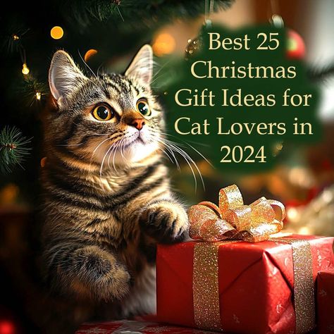 25 Best Christmas Gift Ideas for Cat Lovers in 2024 – BenittaMoko Gift Ideas For Cat Lovers, Chain Threader Earrings, Ear Party, Tiny Studs, Celestial Jewelry, Tiny Stud Earrings, Handmade Wire Jewelry, Stop Talking, Christmas Gift Ideas