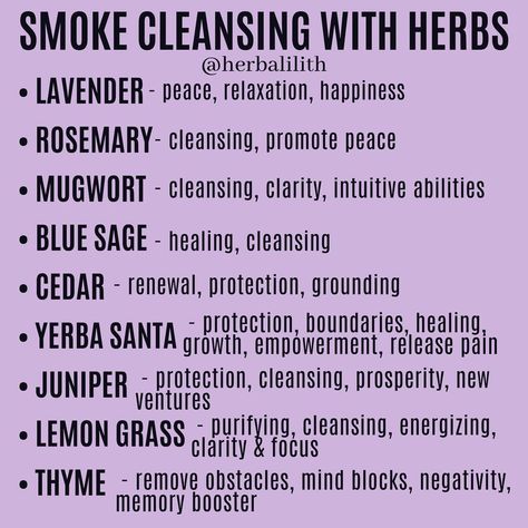 Herb Meanings, Smudging Prayer, Yerba Santa, Witch Herbs, Sage Smudging, Magic Herbs, Magical Herbs, Spiritual Cleansing, Herbal Healing