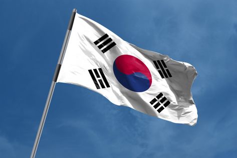 Korean Flag Aesthetic, About South Korea, North Korea Flag, South Korean Flag, Korea Map, South Korea Flag, Korea Flag, Korean Flag, Flag Painting