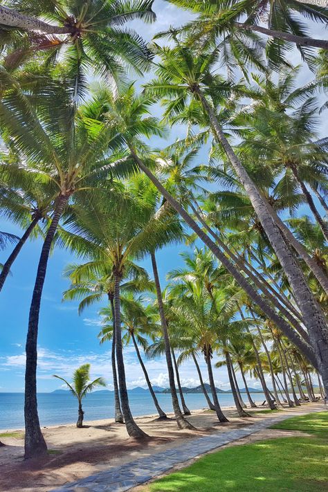 Village By The Sea, Cairns Queensland, Palm Cove, Cairns Australia, Australian Beach, Tropical Holiday, Backgrounds Phone Wallpapers, Gap Year, Future Plans