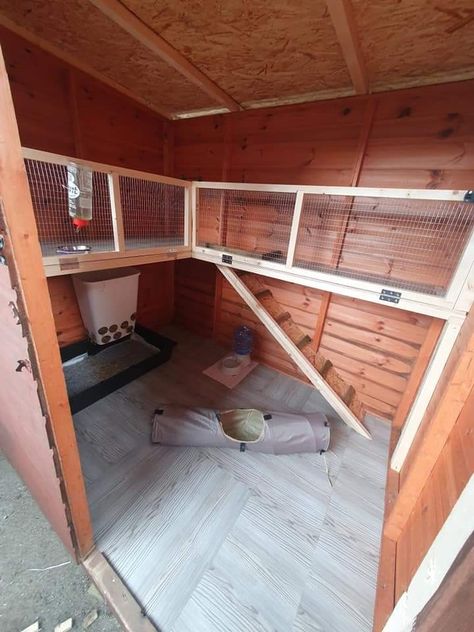 Shed Bunny House, Ferret Shed Ideas, Diy Rabbit Shed, Bunny Shed Ideas, Guinea Pig Shed Ideas, Rabbit Shed Ideas Outdoor, Outside Rabbit Enclosure, Rabbit Cage Ideas Outdoor, Rabbit Shed Ideas