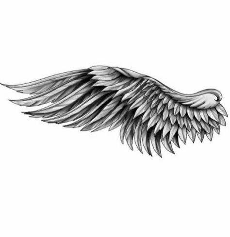 Forearm Wing Tattoo Men Sleeve, Angle Wing Tattoo Men, Crow Wings Tattoo, Angle Wing Tattoos, Chest Tattoo Wings, Back Tattoos For Guys Upper, Tattoo Bicep, Eagle Wing Tattoos, Wing Tattoos On Back